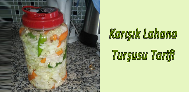 Karışık Lahana Turşusu Tarifi