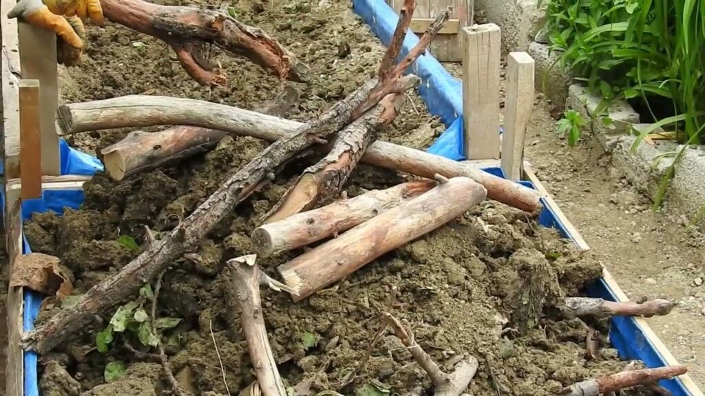 Yükseltilmiş Sebze Yatağı Uygulaması Nasıl Yapılır?