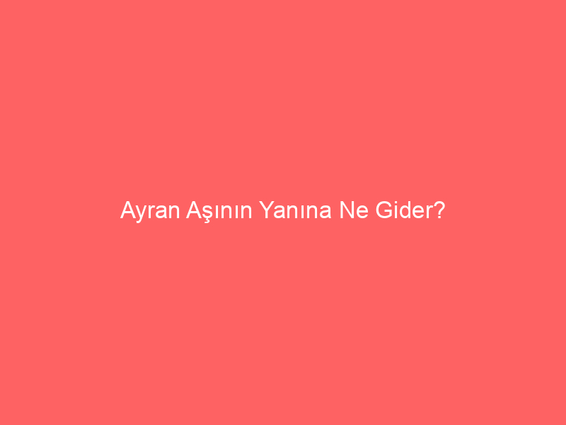 Ayran Aşının Yanına Ne Gider?
