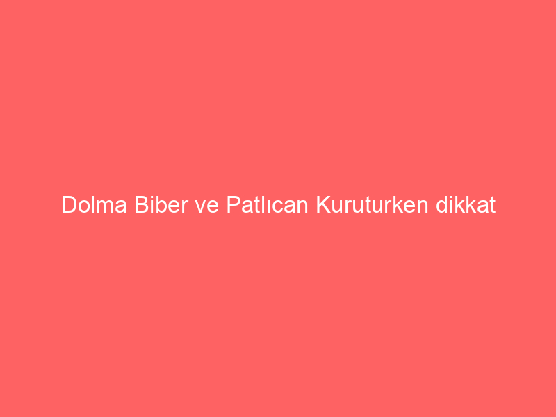 Dolma Biber ve Patlıcan Kuruturken dikkat edilmesi gerekenler