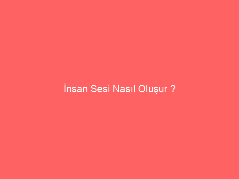 İnsan Sesi Nasıl Oluşur ?